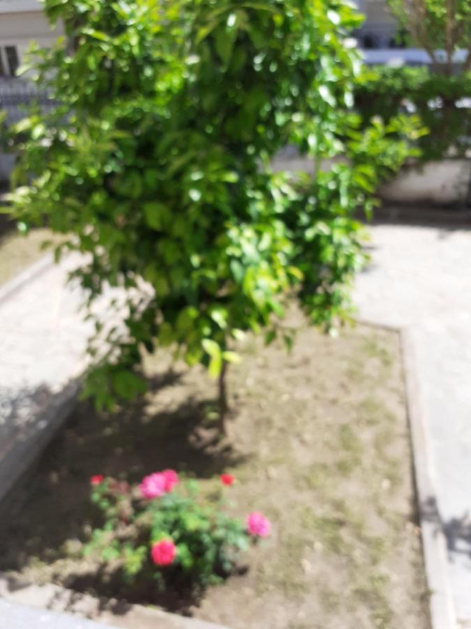 ת'רמי Asteris Appartment מראה חיצוני תמונה